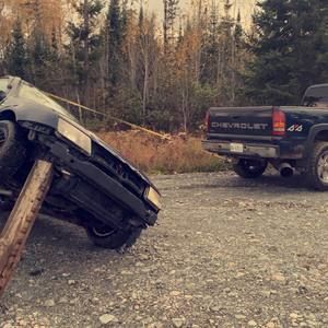 Meet your Posher, William